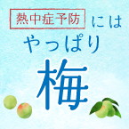 【期間限定】熱中症対策「やっぱり梅」