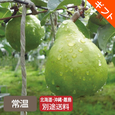 【お歳暮】〈さんさんファーム〉長野…画像