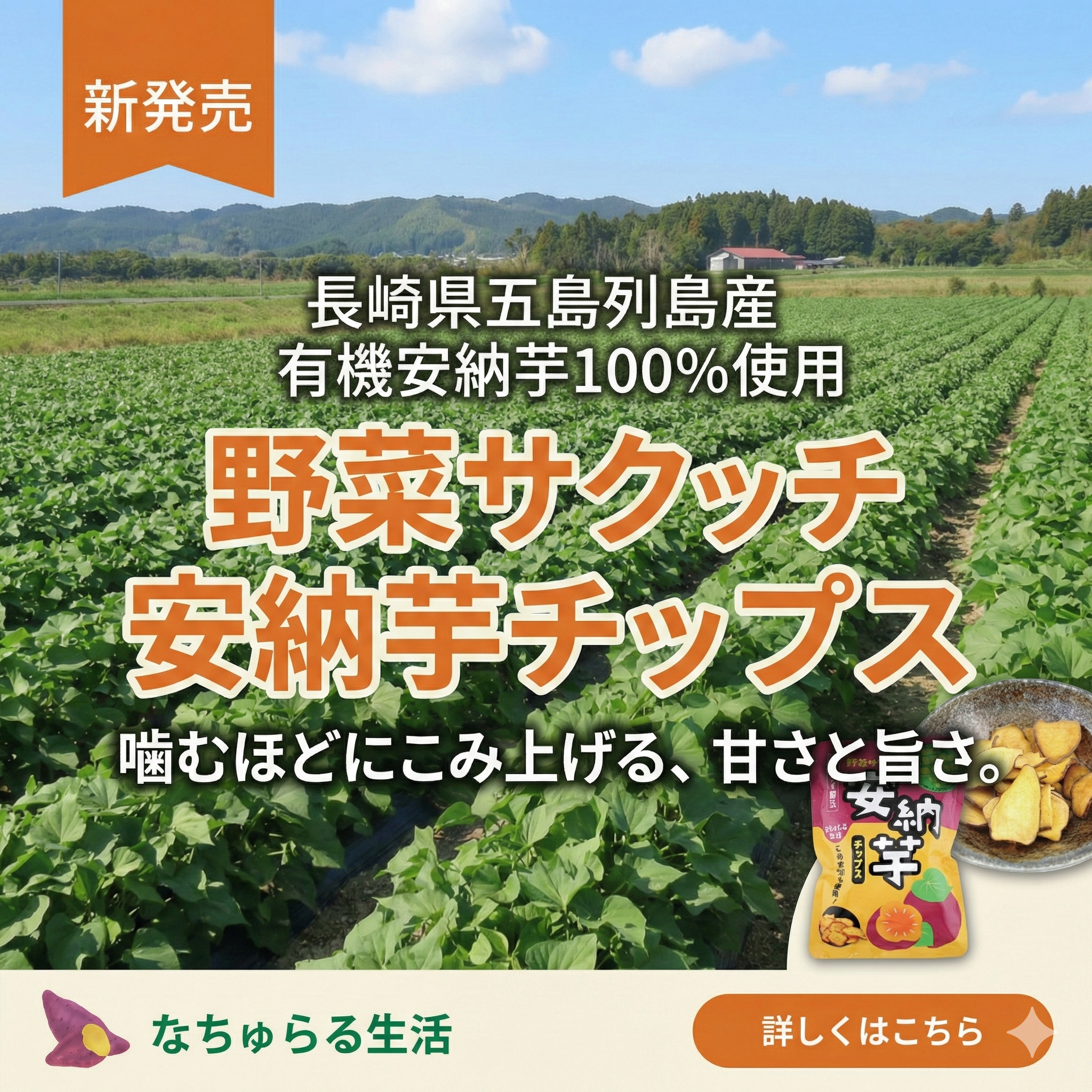 長崎県五島列島産 有機安納芋100…