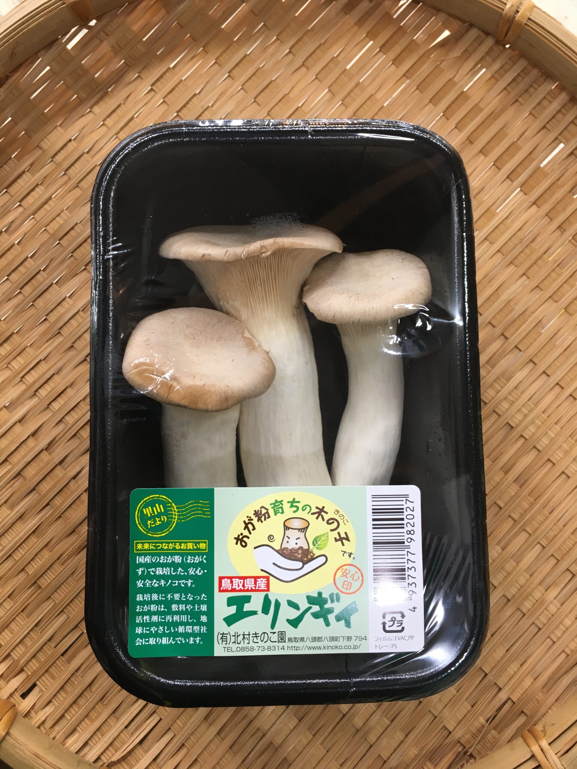 (野菜)エリンギ画像