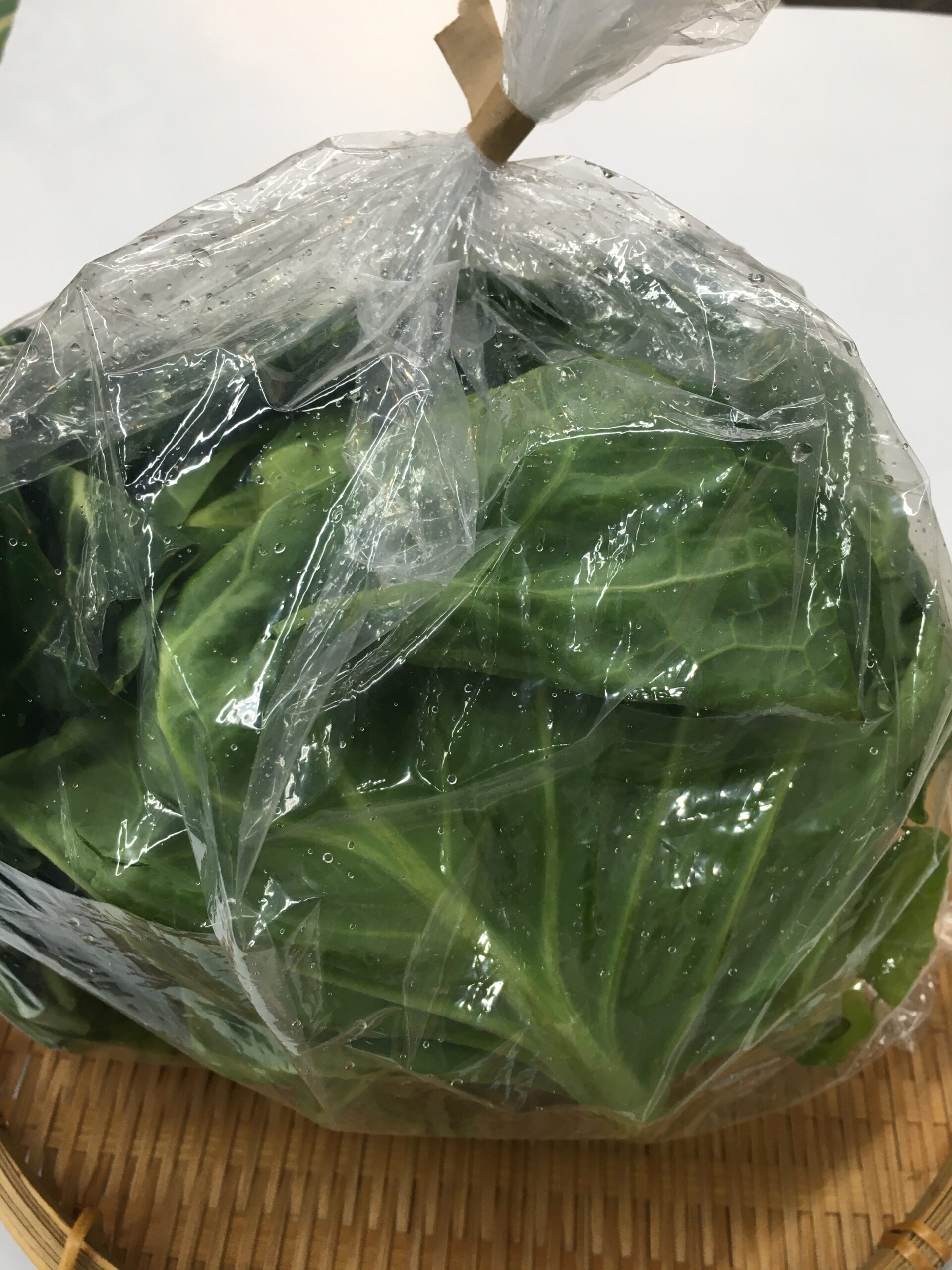 【野菜】春キャベツ画像